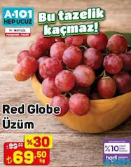 RED GLOBE ÜZÜM KG RED GLOBE ÜZÜM KG